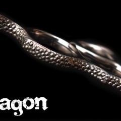 detail_dragon_01