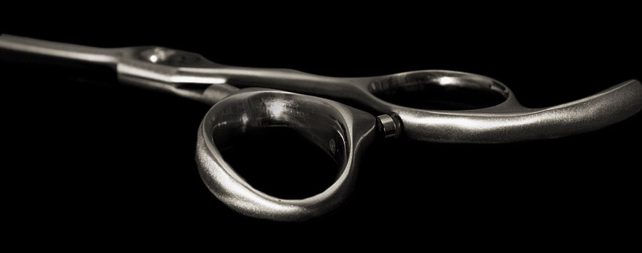 Picasso Hairdressing Scissors from Kanpeki